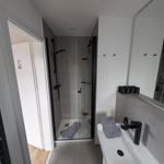 Duschbereich mit Dusche, Waschbecken und Spiegel.