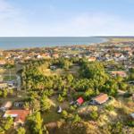 Aerial view of coastal village with houses, trees, and sea.