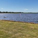 Grass area by the water with windsurfers and wind turbines in the background.