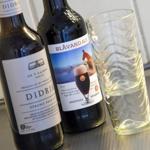 Two beer bottles and a glass are on a metal surface.