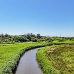 A river flows through green grassland under a blue sky with wind turbines in the distance.