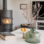 A wood-burning stove, a vase with branches, and a book on a table.