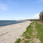 Rocky beach with grass path and forest in the background.