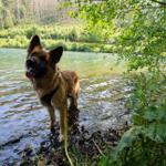 Herzberger Teich in Goslar