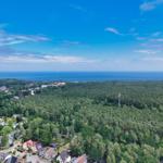 Aerial view of forest, houses, and sea under blue sky.