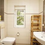 Badezimmer mit Dusche, WC, Waschbecken und Holzregal. Fenster mit Blick auf Grün.