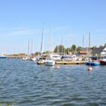 Hafen mit Segelbooten und Booten an Stegen. Gras im Vordergrund. Klare blaue Luft.