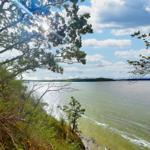 Blick auf einen See von einer bewaldeten Klippe mit Sonnenlicht durch Bäume.