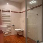 Badezimmer mit Dusche, WC und Waschbecken.