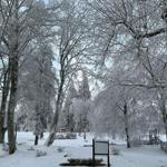 Gehlberg im Winter 2025