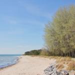 Strand mit Sand, Wasser und Bäumen unter blauem Himmel.