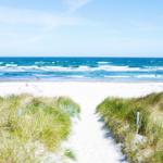 Wanderweg durch Dünen zur weißen Strandpromenade und zum Meer.