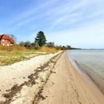 Strand mit Sand, Gras und Häusern am Wasser