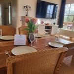 Esstisch mit Stühlen, Blumen und TV im Wohnbereich.