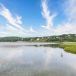 Stiller See mit grüner Ufervegetation und Ferienhäusern im Hintergrund unter blauem Himmel.