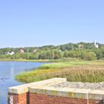 Blick auf einen See mit Ufervegetation und einem Schloss im Hintergrund.
