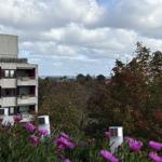 Blick auf Gebäude, Bäume und Meer unter bewölktem Himmel mit vorderen violetten Blumen.