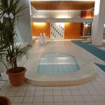 Innenpool mit Liegestühlen und Pflanzen