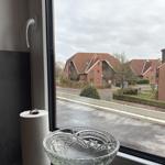 Aus dem Fenster blickt man auf rote Häuser und eine Straße.