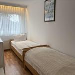 Zwei Einzelbetten, Fenster mit Vorhängen und Wandbild.