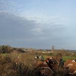 Panoramablick auf Dörfer, Felder und Horizont unter bewölktem Himmel.