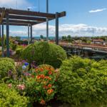 Rooftop-Garten mit Blumen und Blick auf die Stadt und das Meer.