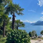 Landscape with lake, mountains, and palms. A white scooter is on a path.