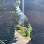 Path between rocks and trees leads to a house.