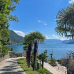 Path leads through palms to lagoon with mountains in the background.