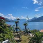 Garden with palms and view of the lake