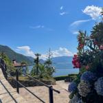 Path with railing leads to view of lake and mountains with flowers