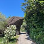 Weg führt unter einem großen Stein hindurch, umgeben von Bäumen und Sträuchern.