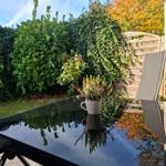 Garten mit Tisch, Stuhl und Pflanze. Spiegelnde Glasplatte und grüne Hecke.