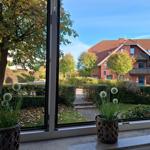 Durch das Fenster sieht man einen Garten mit Bäumen und ein rotes Haus mit Dach.