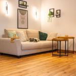 Ein Wohnzimmer mit Sofa, Kissen, Holzboden und Wanddekoration.