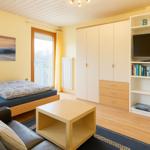 Wohnzimmer mit Sofa, Fernseher und Bücherregal. Tageslicht durch Glastür.