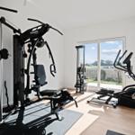 Fitness room with cable machine, elliptical, and garden view