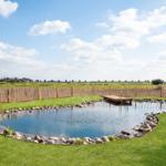 A large oval pool with stone edge and wooden platform in the green garden.