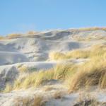 Sand dunes with grass under blue sky