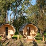 Two round wooden saunas stand in the green. Each has a door and benches.