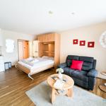 Wohnzimmer mit Sofa, Bett und Küchenbereich. Holzboden und moderne Einrichtung.