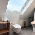 Bathroom with sloped ceiling, toilet, sink, and shower area. Wooden shelf, plant, and skylight.