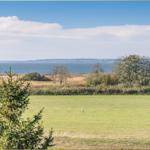 Grünes Feld mit Blick auf einen See und einen Wald im Hintergrund.
