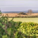 Weitläufiger Blick auf Feld und See mit Bäumen und Sträuchern im Vordergrund.