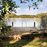 Holzsteg führt zum See. Umgeben von Bäumen und Schilf.
