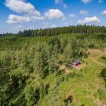 Rotes Haus in grüner Waldlandschaft unter blauem Himmel.