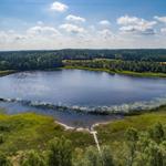 Ein See mit einer Holzbrücke, umgeben von Wald und Grasland unter blauem Himmel.
