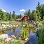 Rotes Haus mit Pool und Garten in Waldnähe.