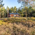 Rotes Haus mit Terrasse im Wald. Umgeben von Bäumen und Grasland.