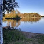 Seeufer mit Birken, Sandstrand und Boot. Wald im Hintergrund.